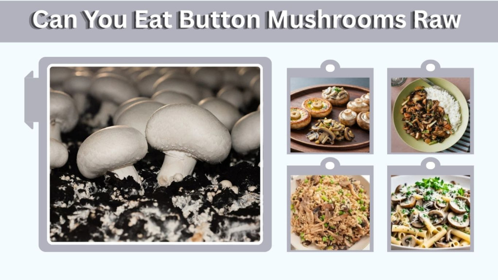Can You Eat Button Mushrooms Raw? Safety and Storage Guide