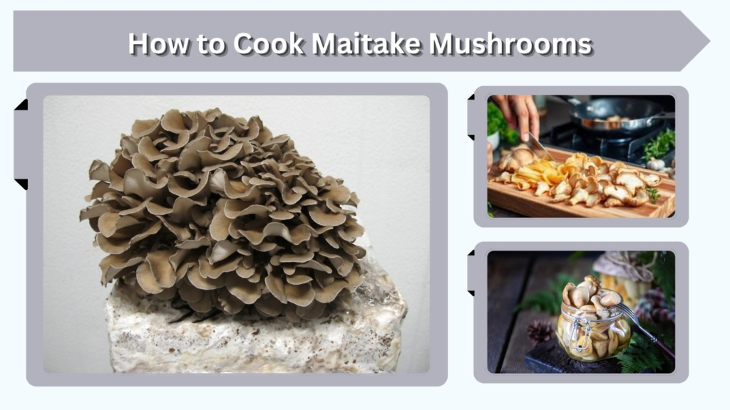 How to Cook Maitake Mushrooms