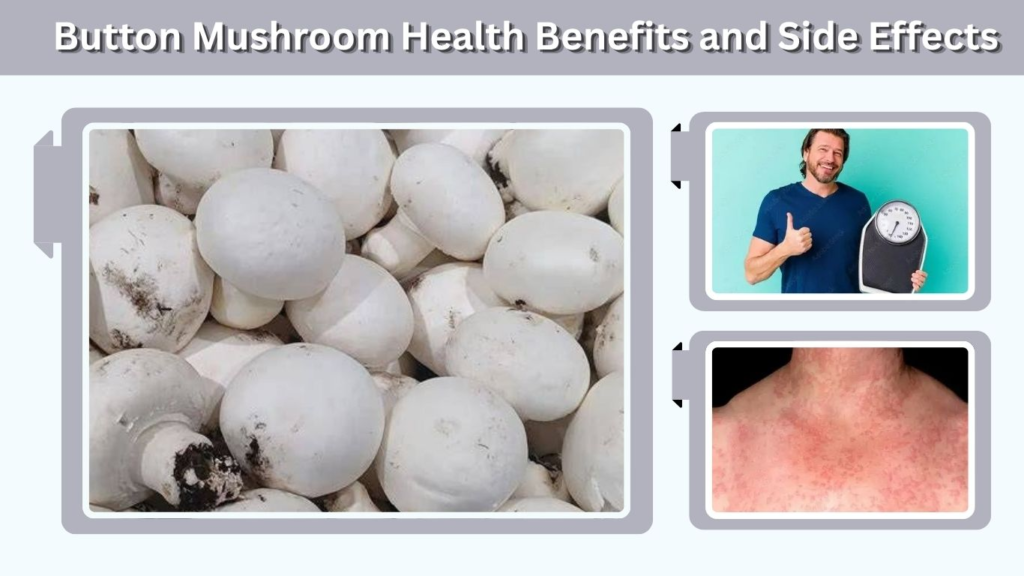 Button Mushroom Health Benefits and Side Effects