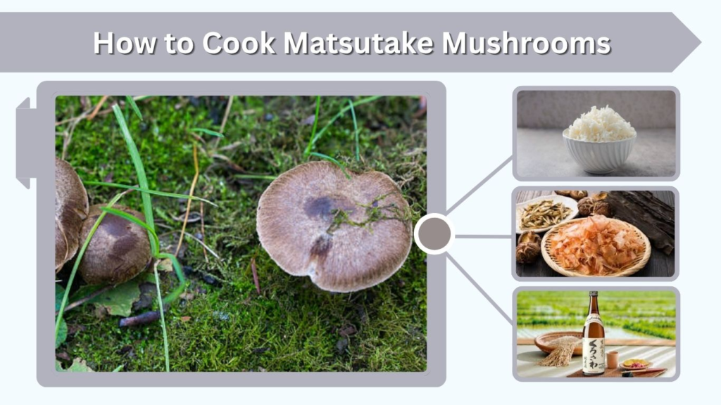 How to Cook Matsutake Mushrooms