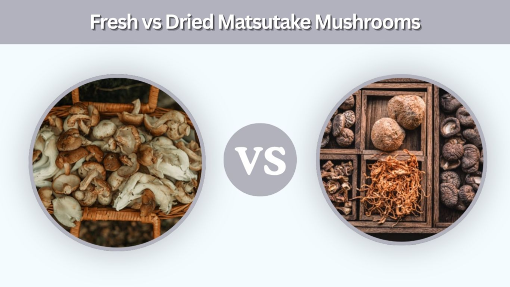 Fresh vs Dried Matsutake Mushrooms