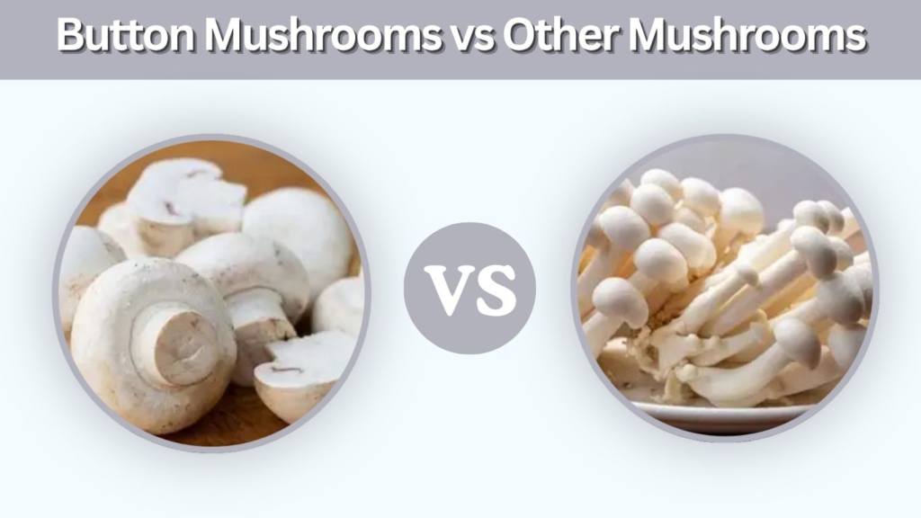 Button Mushrooms vs Other Mushrooms: Taste, Uses and Safety