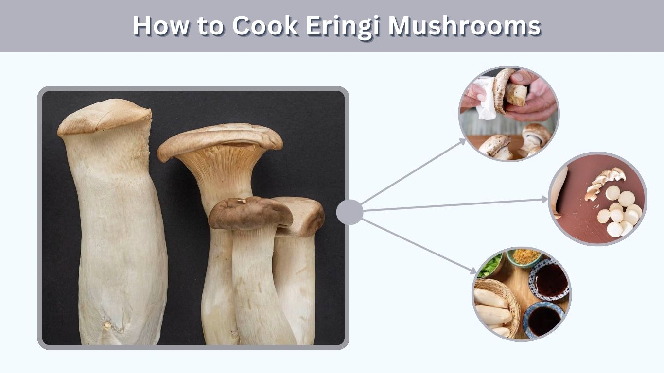 Eringi Mushroom: Benefits, Taste, Recipes and Uses