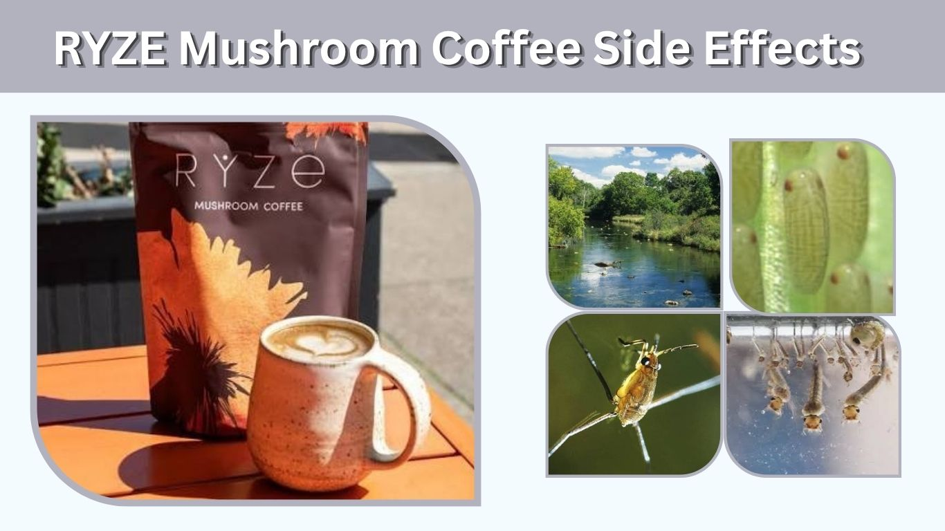RYZE Mushroom Coffee Side Effects: What to Know